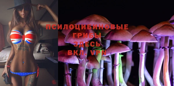 крисы Мегион