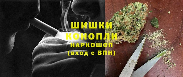 ГАЛЛЮЦИНОГЕННЫЕ ГРИБЫ Майский