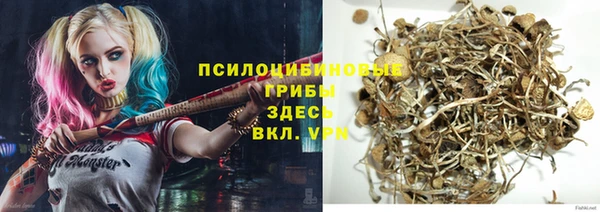 ГАЛЛЮЦИНОГЕННЫЕ ГРИБЫ Майский