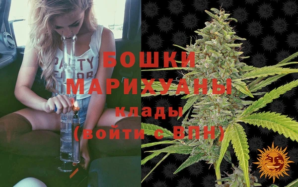 ГАЛЛЮЦИНОГЕННЫЕ ГРИБЫ Майский