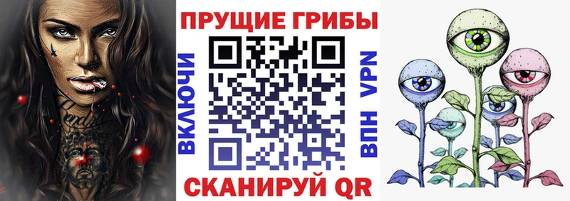 кракен как войти  закладка  Мирный  Галлюциногенные грибы GOLDEN TEACHER 