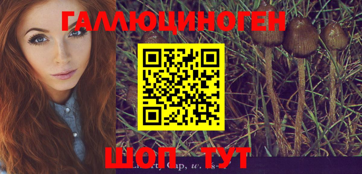 Мирный  Псилоцибиновые грибы прущие грибы  Вход с VPN 