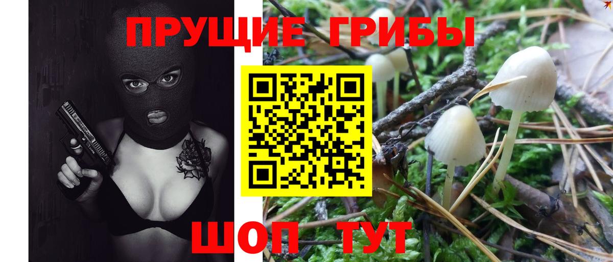 Галлюциногенные грибы мухоморы Мирный